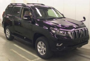 Prado brand new
